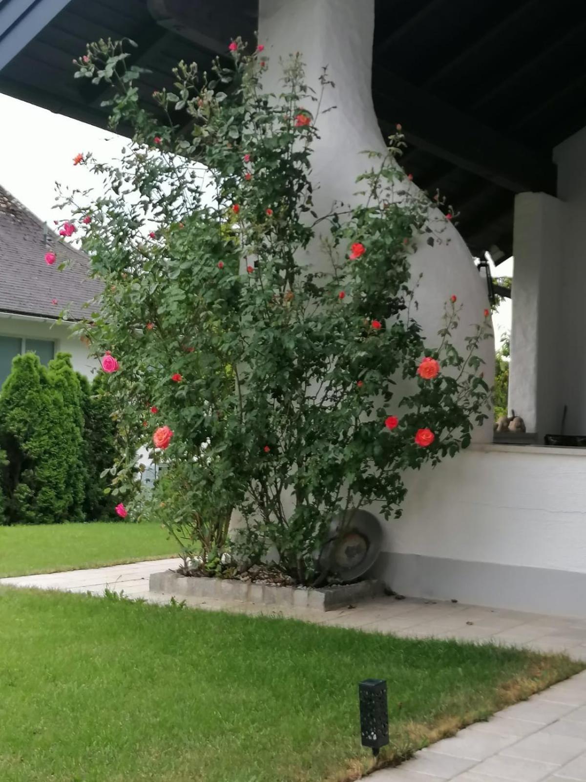Appartment Nocksteinblick Guggenthal المظهر الخارجي الصورة